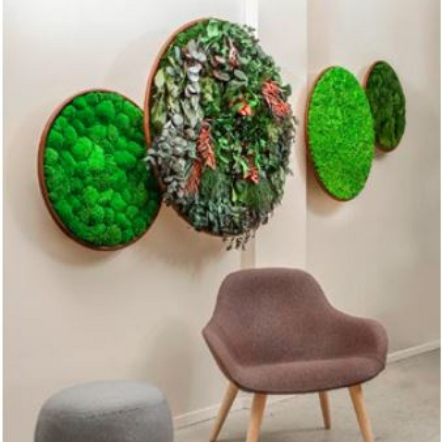 Mur végétal et acoustique Greenmood